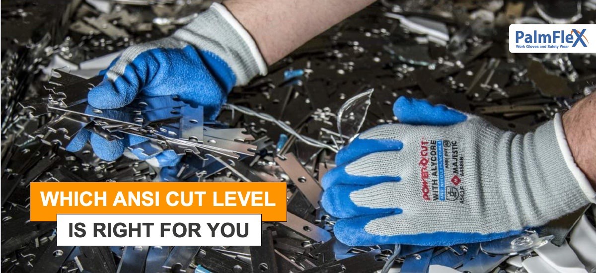 Blog > Which ANSI Cut Level Glove is Right for You