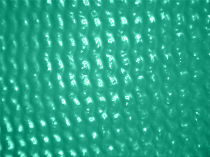 Global Glove 550 Gripster Ultra-Lite Nitrile Coated Nylon Gloves - Cut Level A1