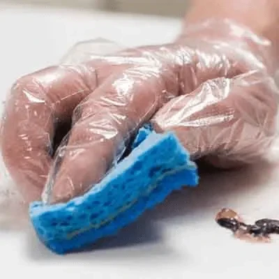 Ammex X3 Polyethylene Food Safe Powder Free Gloves