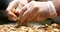 Ammex 3 Mil Vinyl Powder Free Gloves