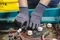 Majestic 3228D SuperDex Micro Foam Nitrile Palm Coated Gloves on Nylon Shell