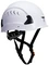 Portwest Height Endurance Pro C Helmets