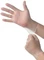 Vanguard Vinyl Exam Powder Free Gloves