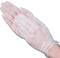 Vanguard Economy Vinyl Powdered Gloves